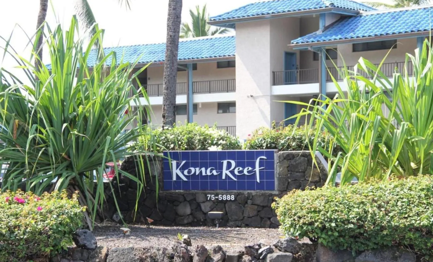 Kona Reef Timeshare Rental 카일루아 코나